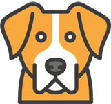 Sofidox dog
